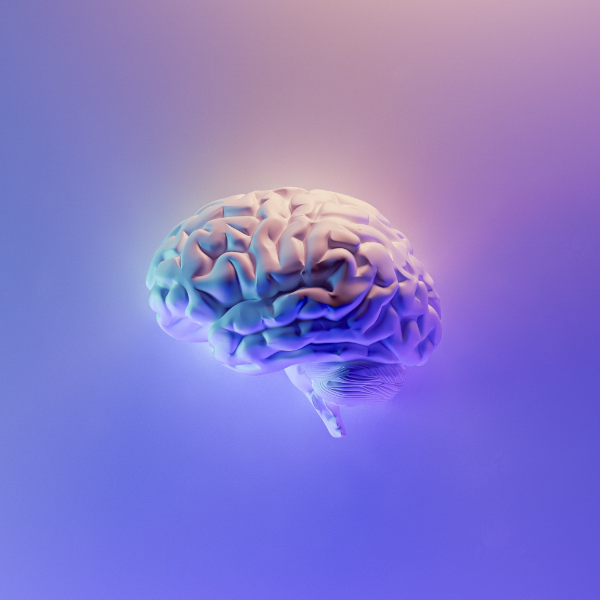 Neurologie Ergotherapie