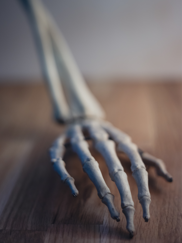 Orthopaedie Chirurgie Ergotherapie